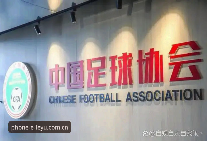 资深用户分享：从足协禁足名单看足球生态的深层变革